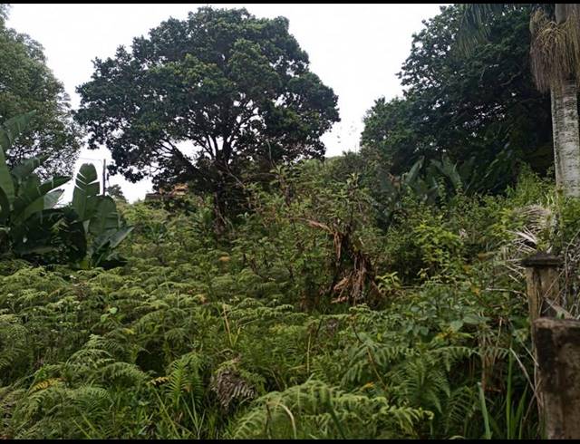 LAND FOR SALE IN PALM BEACH